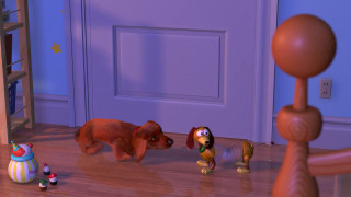 Cartoon dog toy dog room - free dogs wallpaper