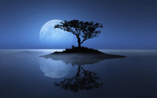 Tree island ocean night full 3 - a small island in the middle of the ocean free wallpaper