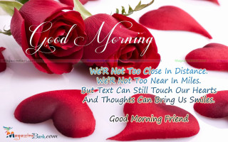Red rose good morning work - text free wallpaper