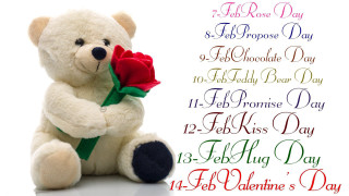 Teddy bear rose romantic valentines - romantic free wallpaper