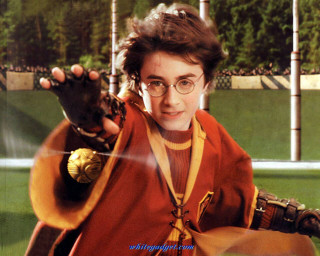 Young boy costume holding glove - young free wallpaper