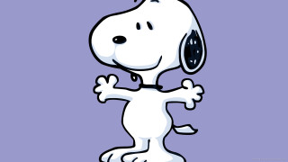 Cartoon dog with collar and 2 - full body portrait free wallpaper