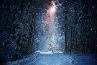 Snowy road magic night aurora - a snowy road free wallpaper