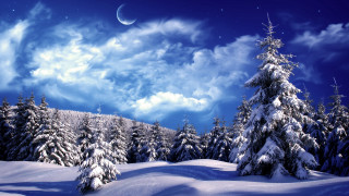 Snowy moonlit forest blue sky - magic realism free wallpaper