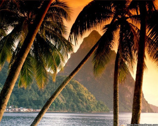 Tropical island palm trees boat 3 - a tropical island free wallpaper