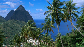 Tropical island palm trees mountain - a tropical island free wallpaper