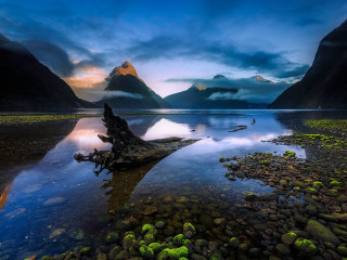 Lake tree stump mountains sunset 2 - winning free wallpaper for desktop