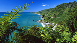 Beach forest hilltop scenery blue - beautiful scenery free wallpaper for desktop