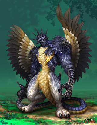 Dragon huge wings spread open - spread wide free wallpaper