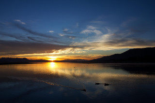 Sunset lake ducks mountains clouds - a sunset over a lake free wallpaper