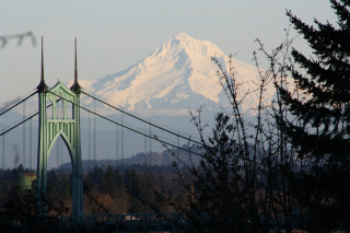 Bridge mountain trees snow capped - a mountain in the background and trees free wallpaper