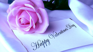 Pink rose white card happy - romantic free wallpaper