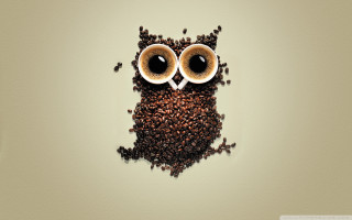 Coffee owl coffee beans eyes 2 - free bird wallpaper