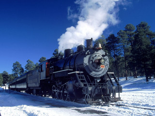 Train snow forest steam trees - forest free wallpaper