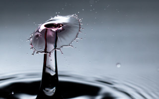 Drop water purple substance black - a black surface free wallpaper