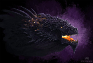 Black dragon glowing orange beak - orange beak free wallpaper