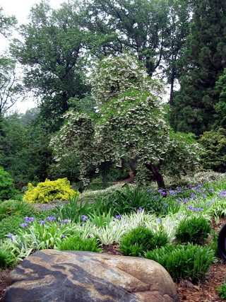 Rock garden tree flowers clock - simple free wallpaper