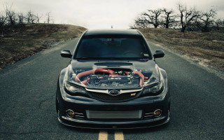 Car hood driving road trees - andrew bell free wallpaper