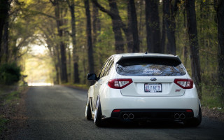 White car parked woods trees - the side of a road free wallpaper