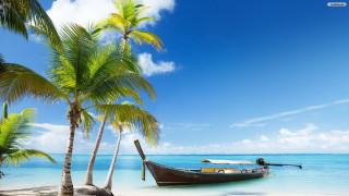 Tropical beach boat docked palm - a tropical beach free wallpaper