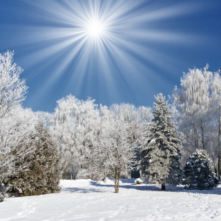 Sunny winter day snow covered - a digital rendering free wallpaper