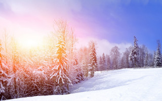 Snowy hill trees sun blue - a bright sun in the background free wallpaper