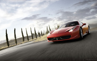 Red sports car driving road 31 - tall tree free wallpaper