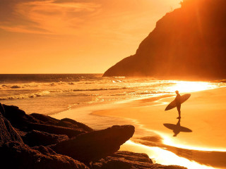 Person holding surfboard walking beach - a surfboard free wallpaper