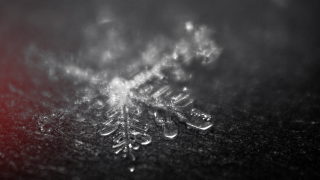 Snowflake black white red background - macro photography free wallpaper