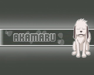 Dog sitting gray background name - a name tag free wallpaper