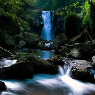 Waterfall forest rocks flowing lush - free nature wallpaper