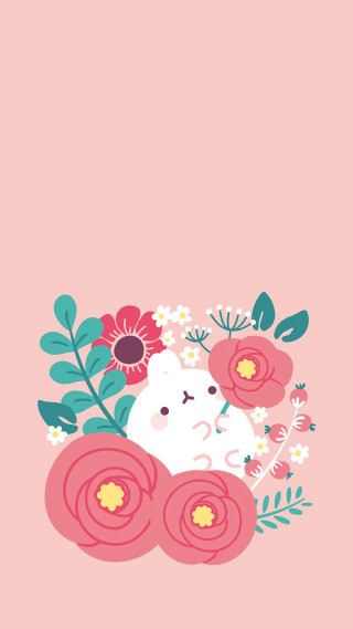 Pink background white cat flowers - red flower free wallpaper