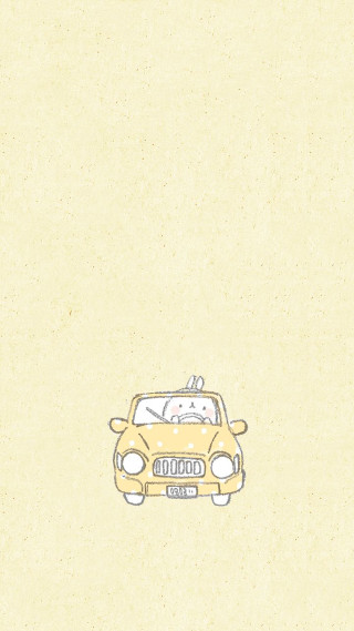 Car dog cat driving road - the road free wallpaper