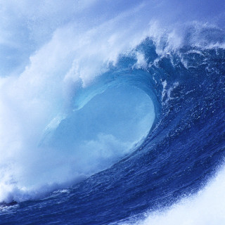 Large wave surfer ocean blue - the ocean free wallpaper