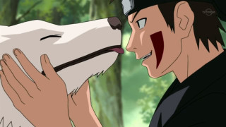 Man dog face paint woods - painted free wallpaper
