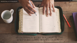 Person writing book pen coffee - occult free wallpaper