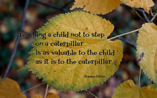 Leaf quote teaching child caterpillar - e. william gollings free wallpaper