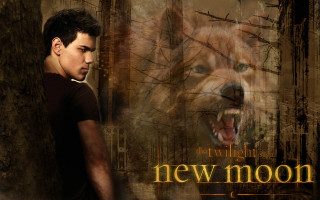 Man wolf forest trees branches - eric taylor free wallpaper