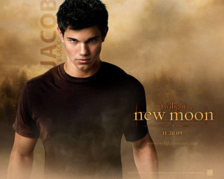 Man brown shirt poster twilight - edward ben avram free wallpaper