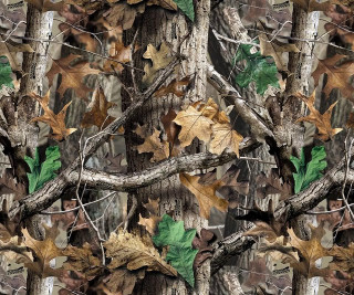 Camouflage leaves branches background nature - a camouflage background free wallpaper