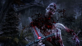 Bloody zombie knife forest trees - bloody free wallpaper