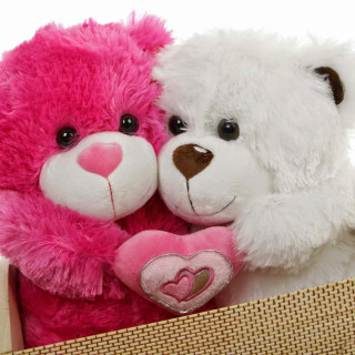 Teddy bears sitting in a - the other free wallpaper