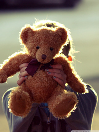 Person holding teddy bear hat - a person holding free wallpaper