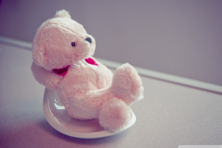 Pink teddy bear white plate - a pink teddy bear free wallpaper
