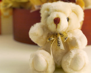 White teddy bear table potted - a table next free wallpaper