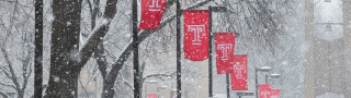 Street red signs snow trees - alma thomas free wallpaper