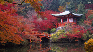 Red pagoda island pond trees - a bridge over free wallpaper
