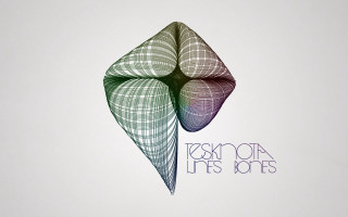 Stylized leaf fashion lies jones - a wireframe diagram free wallpaper