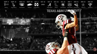 Football players standing field fans - fan free wallpaper