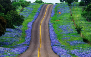 Long road yellow line blue - a long road free wallpaper